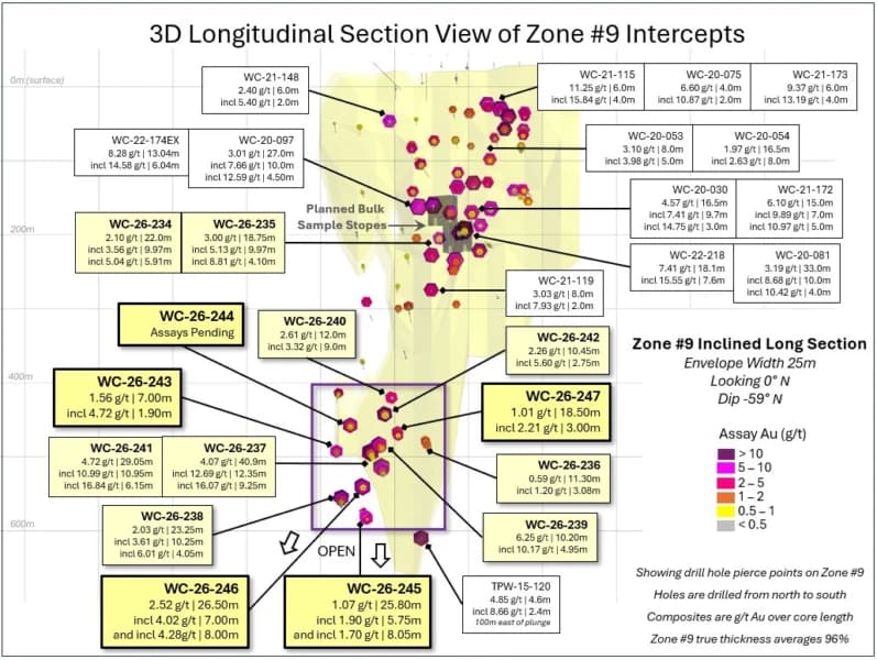 Galleon Gold Step-Out Holes Intersect Gold Around the Zone #9 High-Grade Core at West Cache
