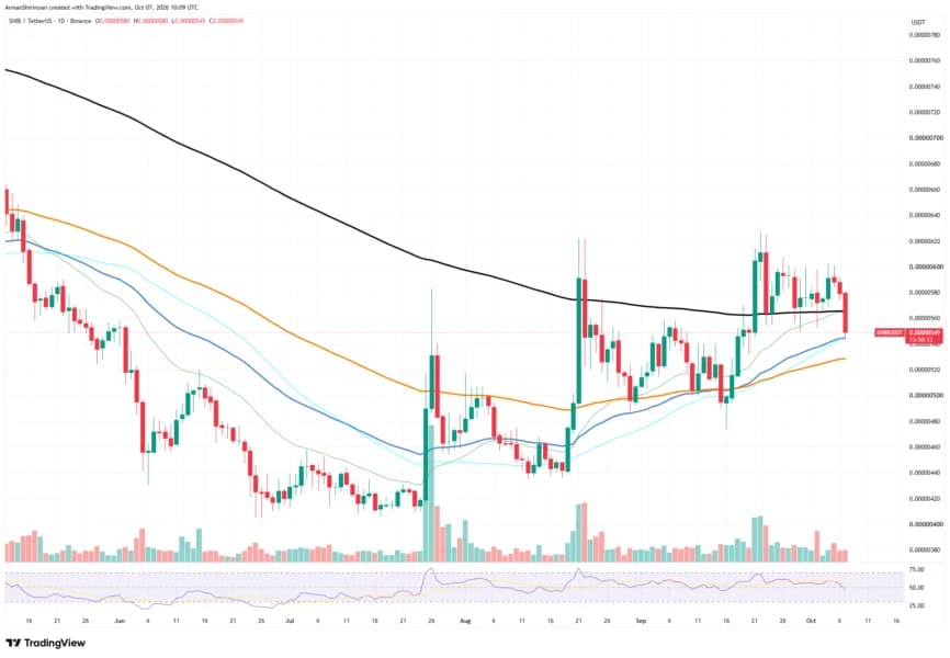 Shiba Inu (SHIB) Adds 440% in Long-Term Spot Flows, Though Short-Term Picture Is Worrying
